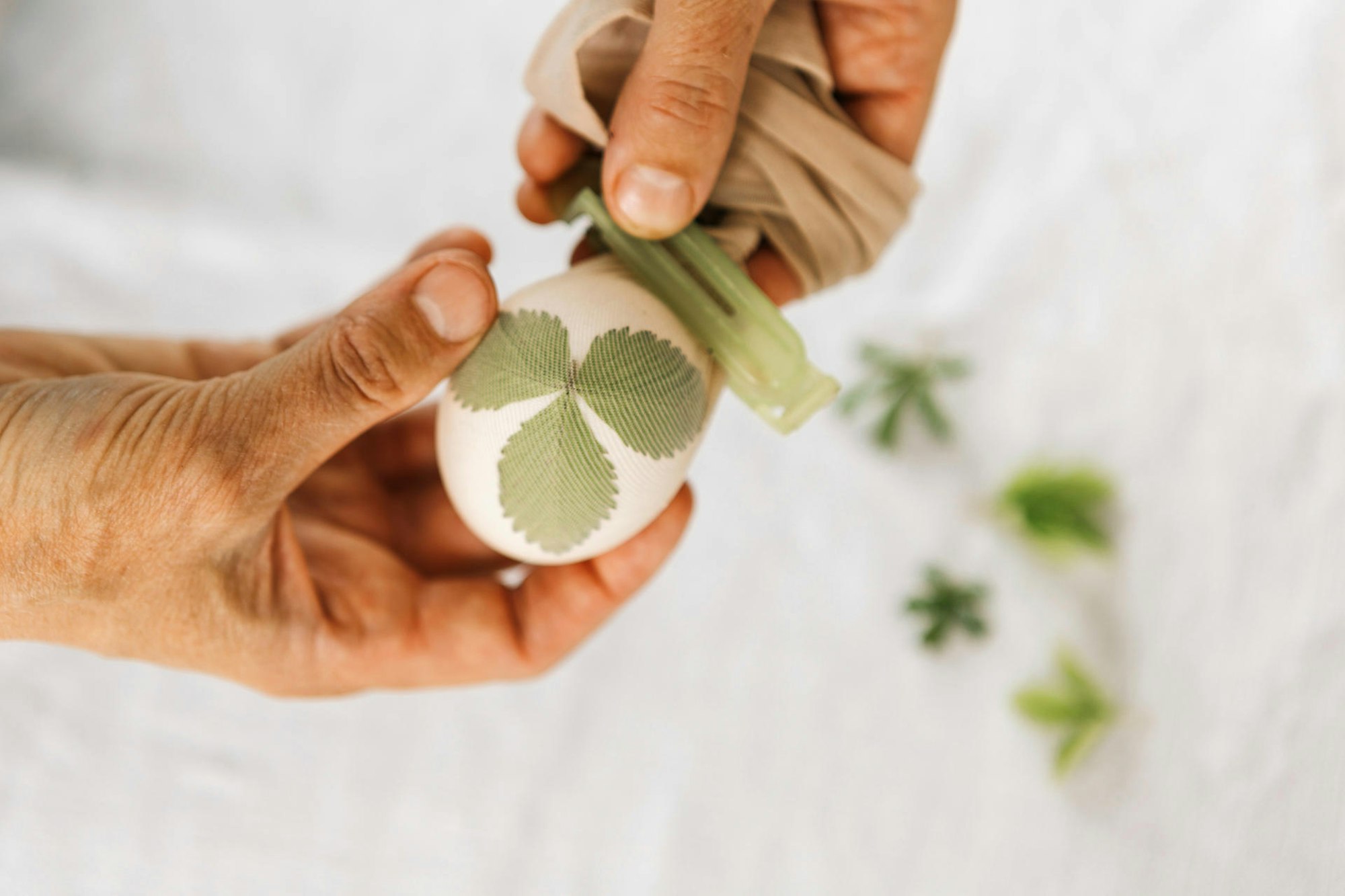 Mit_Kurkuma_und_Roib_64704736