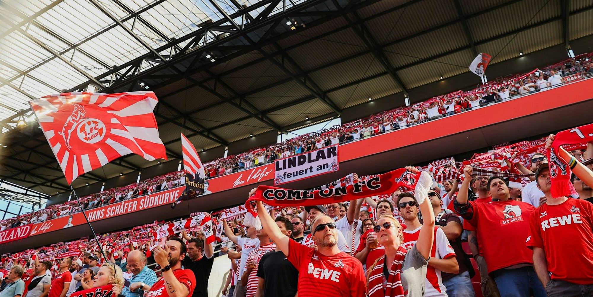 D8EA71FA-5E19-4D16-A593-FEF1C495B927