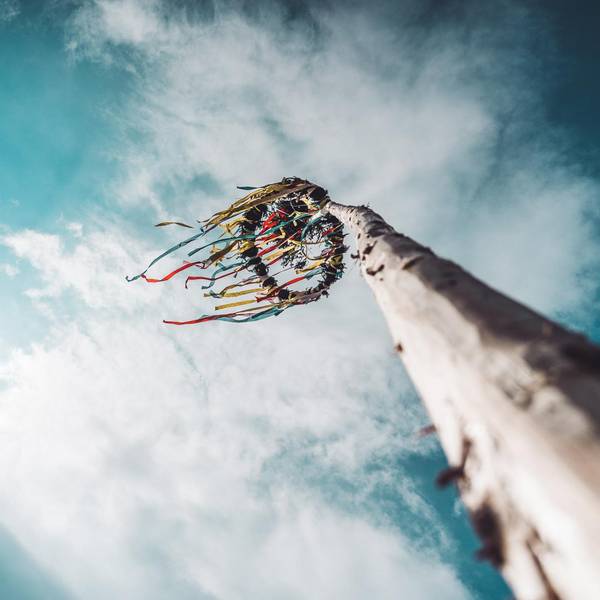 Maibaum Unsplash