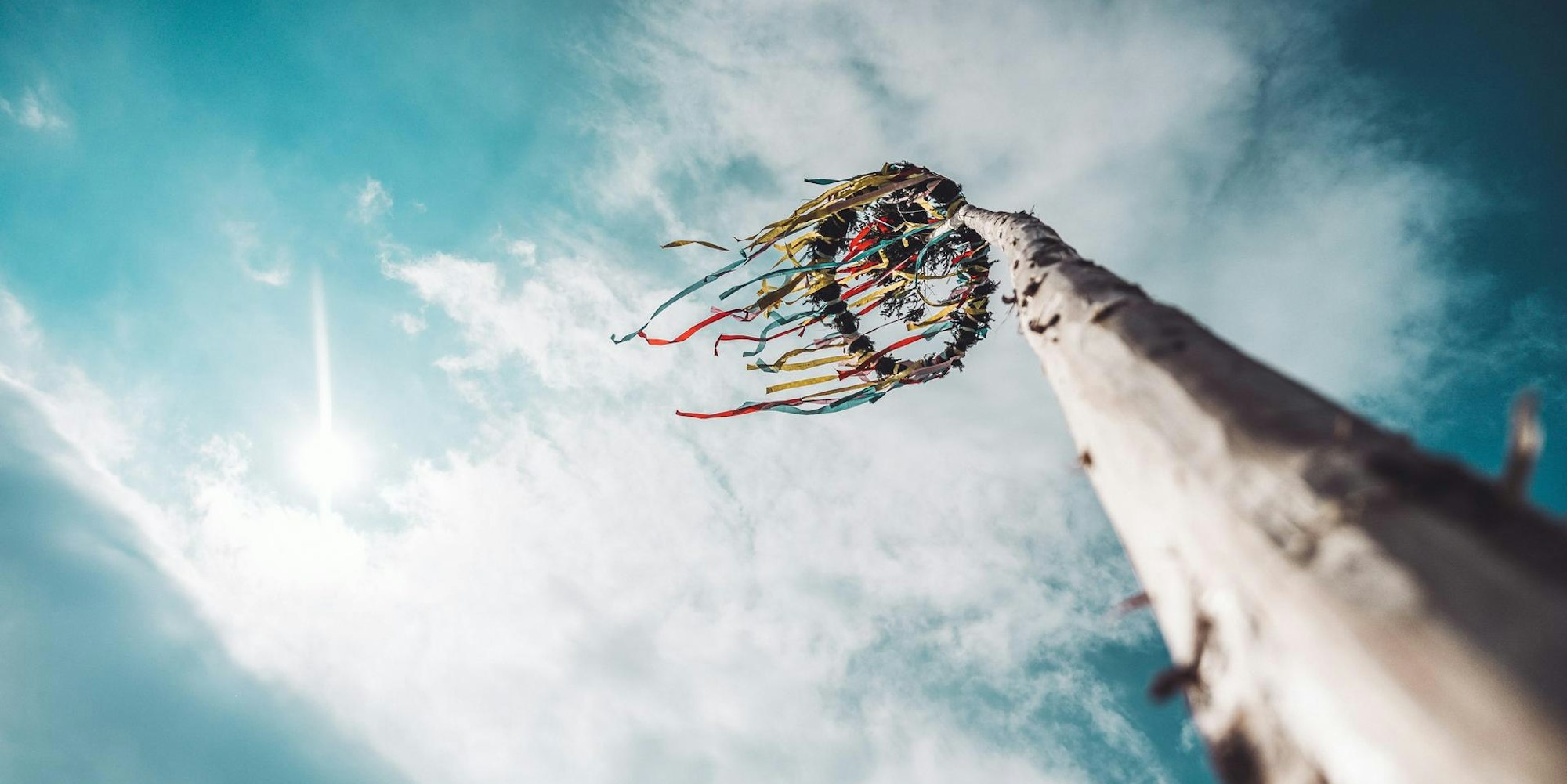 Maibaum Unsplash