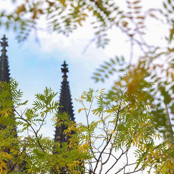 Kölner Dom im Herbst.