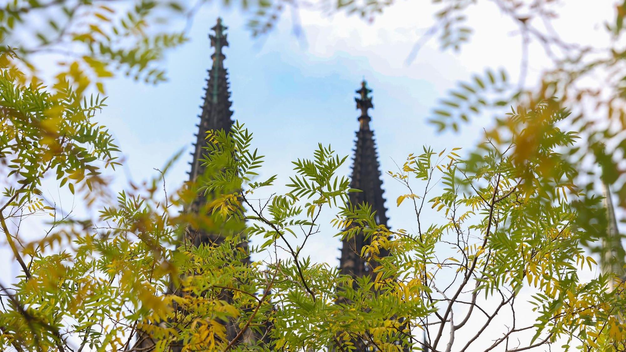 Kölner Dom im Herbst.