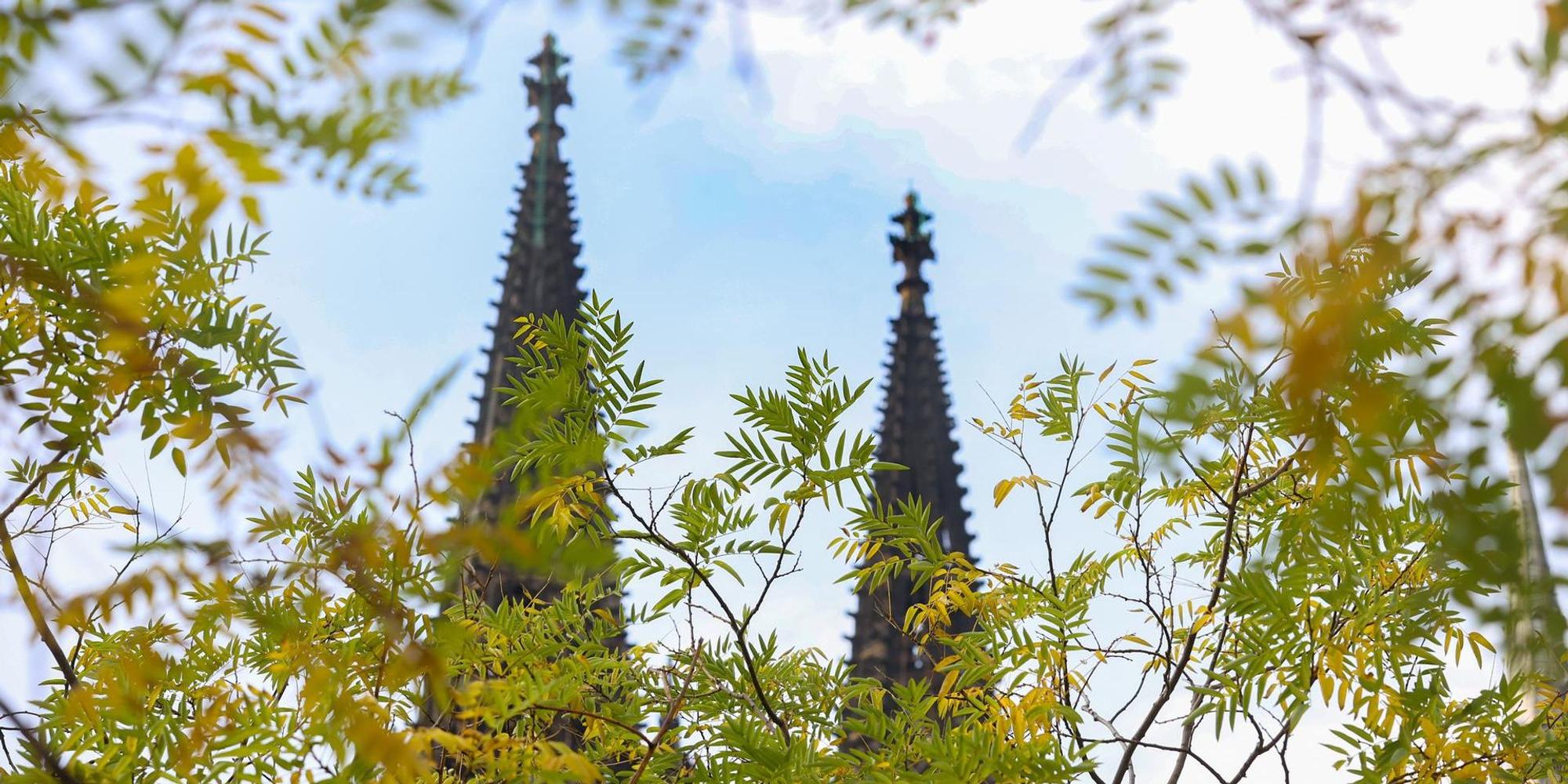Kölner Dom Herbst