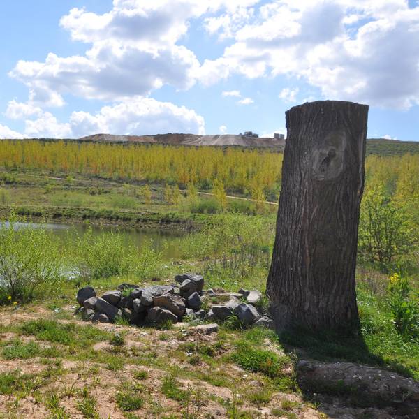el-Sophienhoehe-Wanderwege-FTZ_(7)