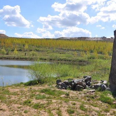 el-Sophienhoehe-Wanderwege-FTZ_(7)