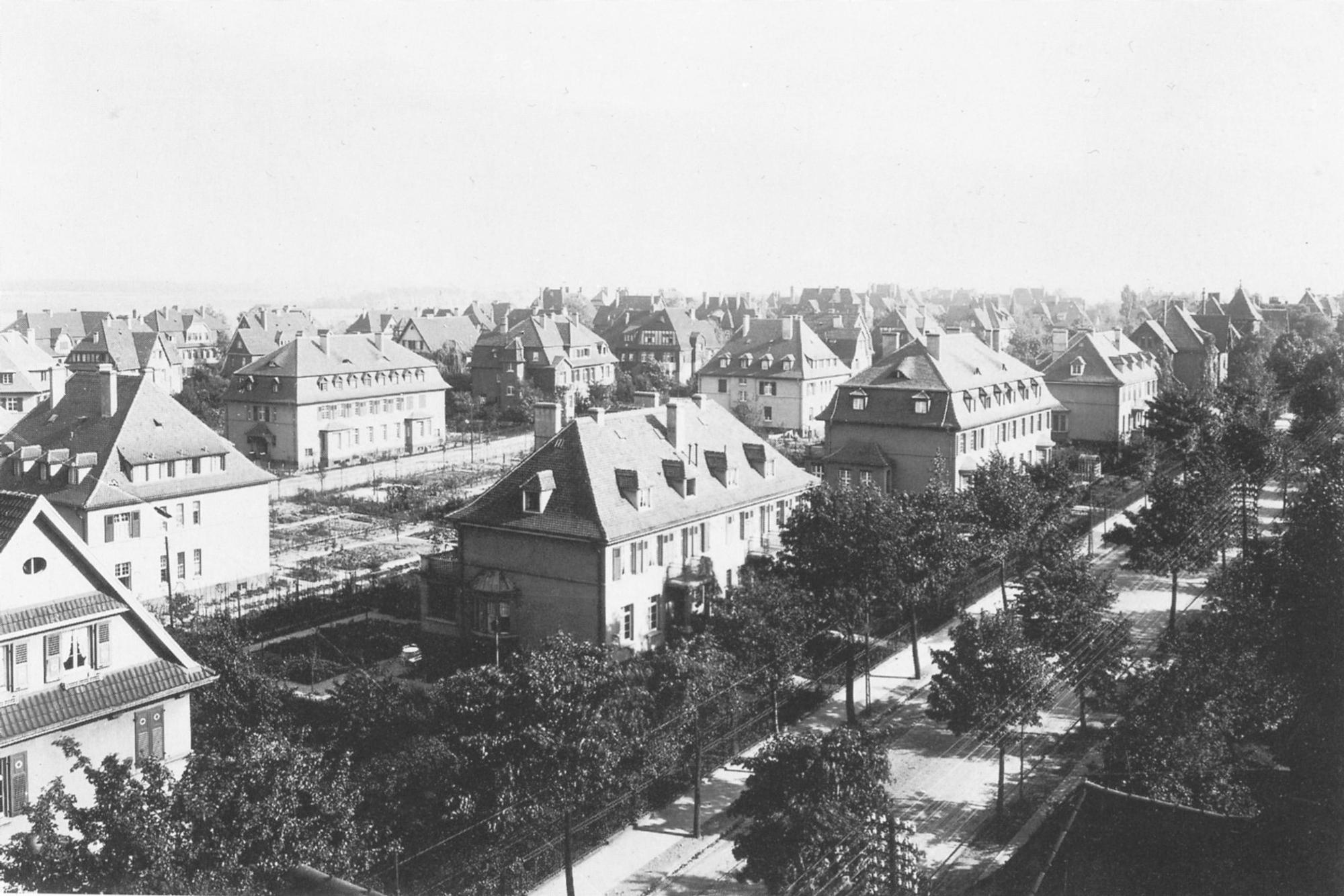 leverkusen-scan-371