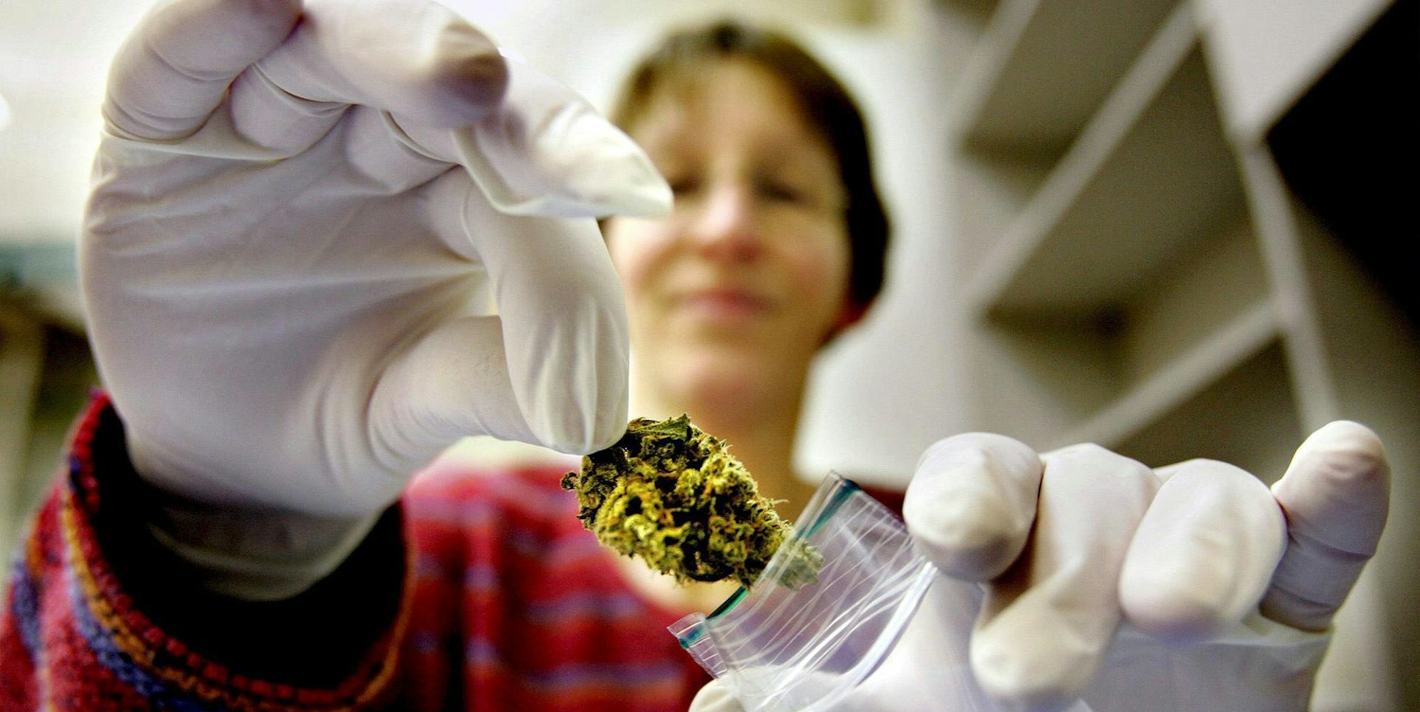 Cannabis in Apothek