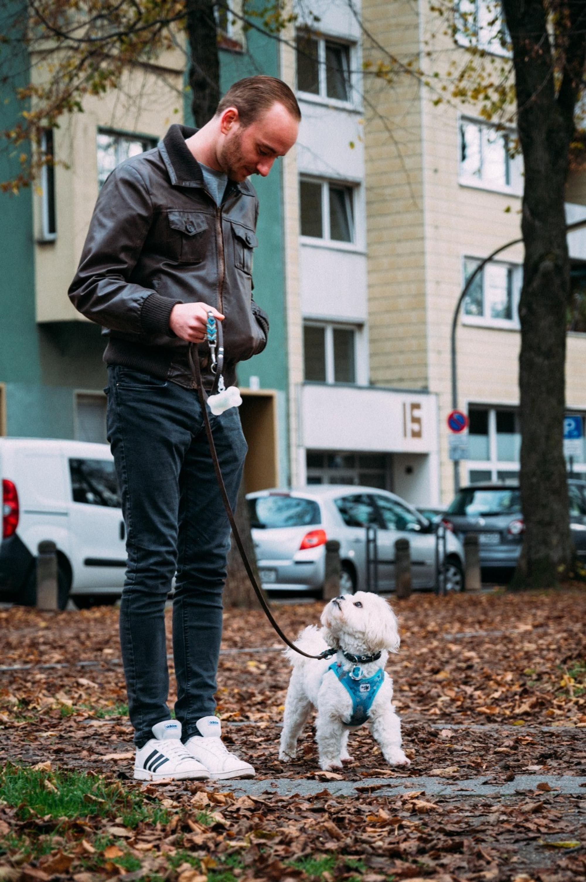 Hund2