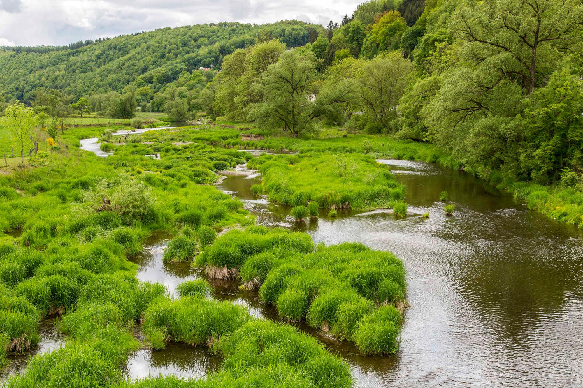 Neuer Inhalt