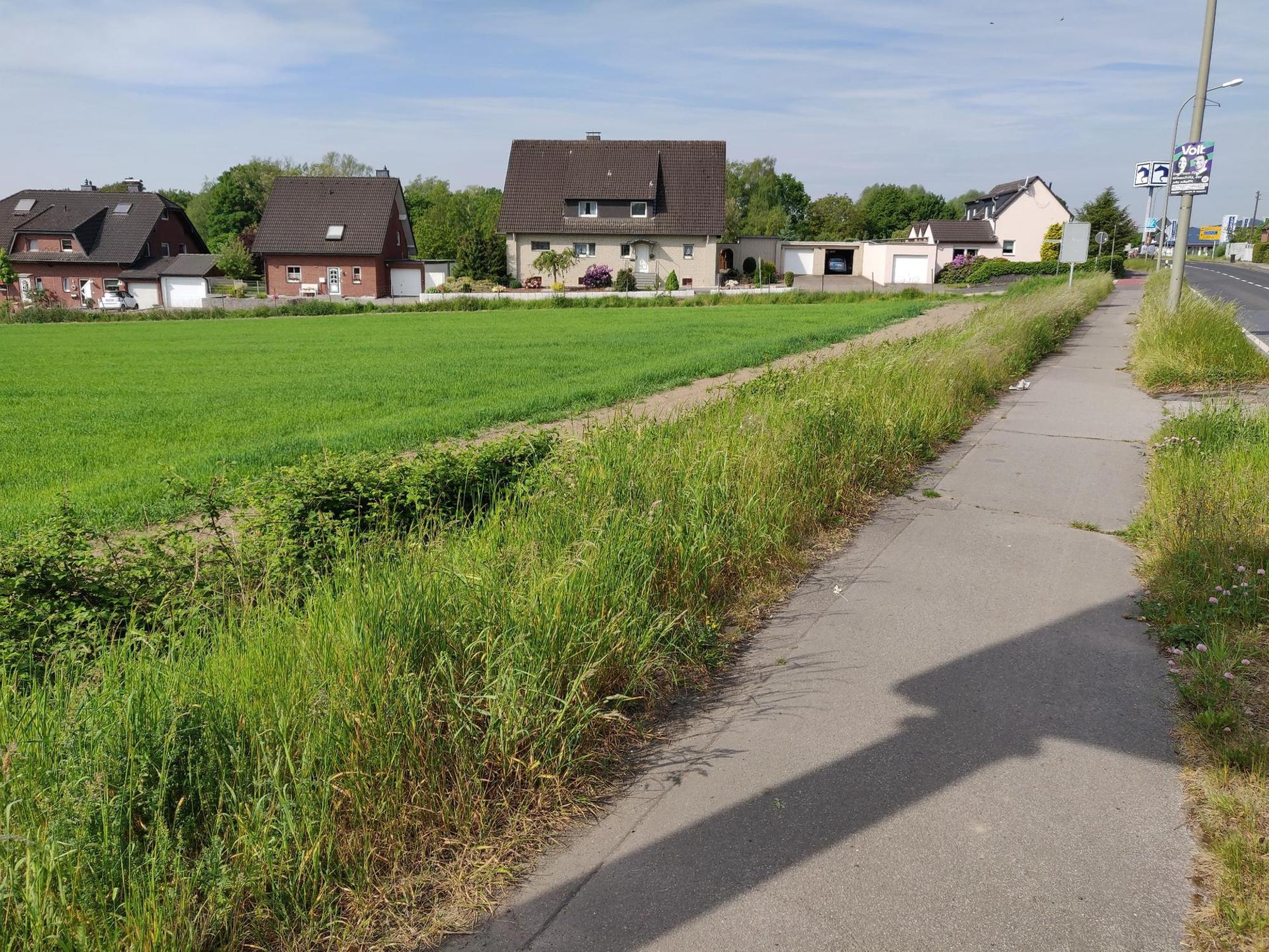 Rombergsweiher