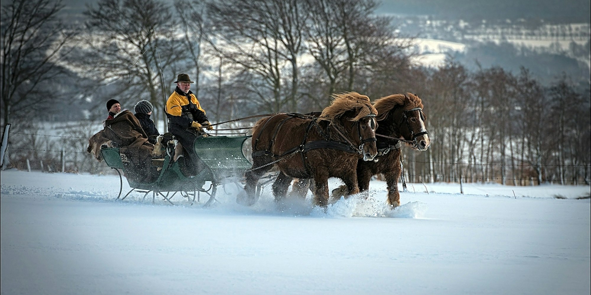 Pferdeschlittenfahrten 2 Eifel Bauershof Akim Tierfotografie