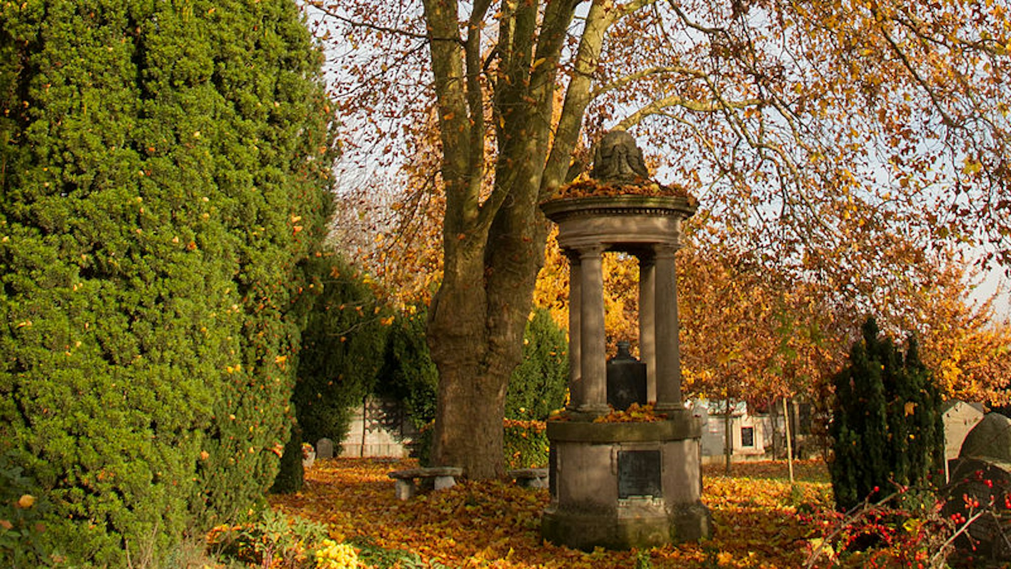 Grabmal unter hundertjähriger Platane in Hillesheim.