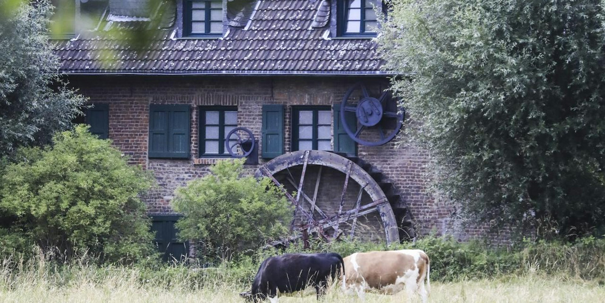 tier0_2018_06_19_MDS-KSTA-2018-06-19-71-133963200