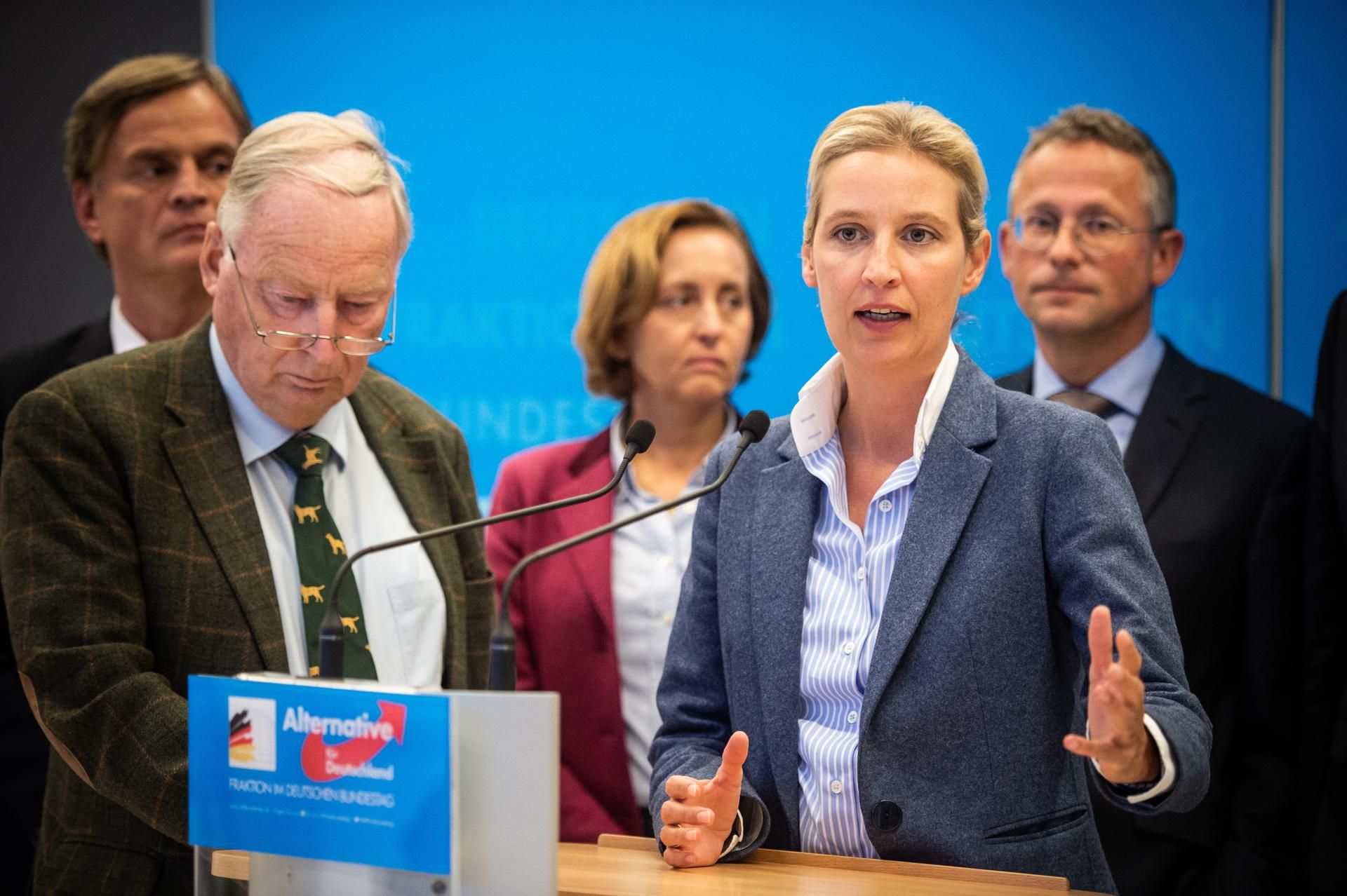 AfD Abstimmung dpa 260919