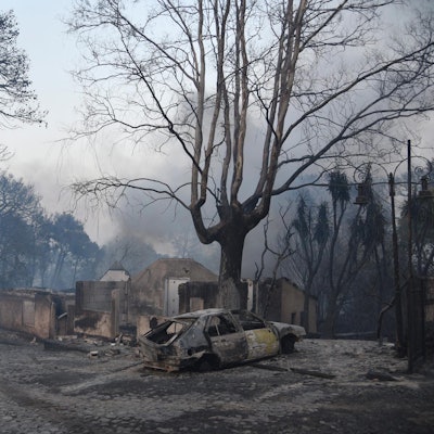 Waldbrand Griechenland 2