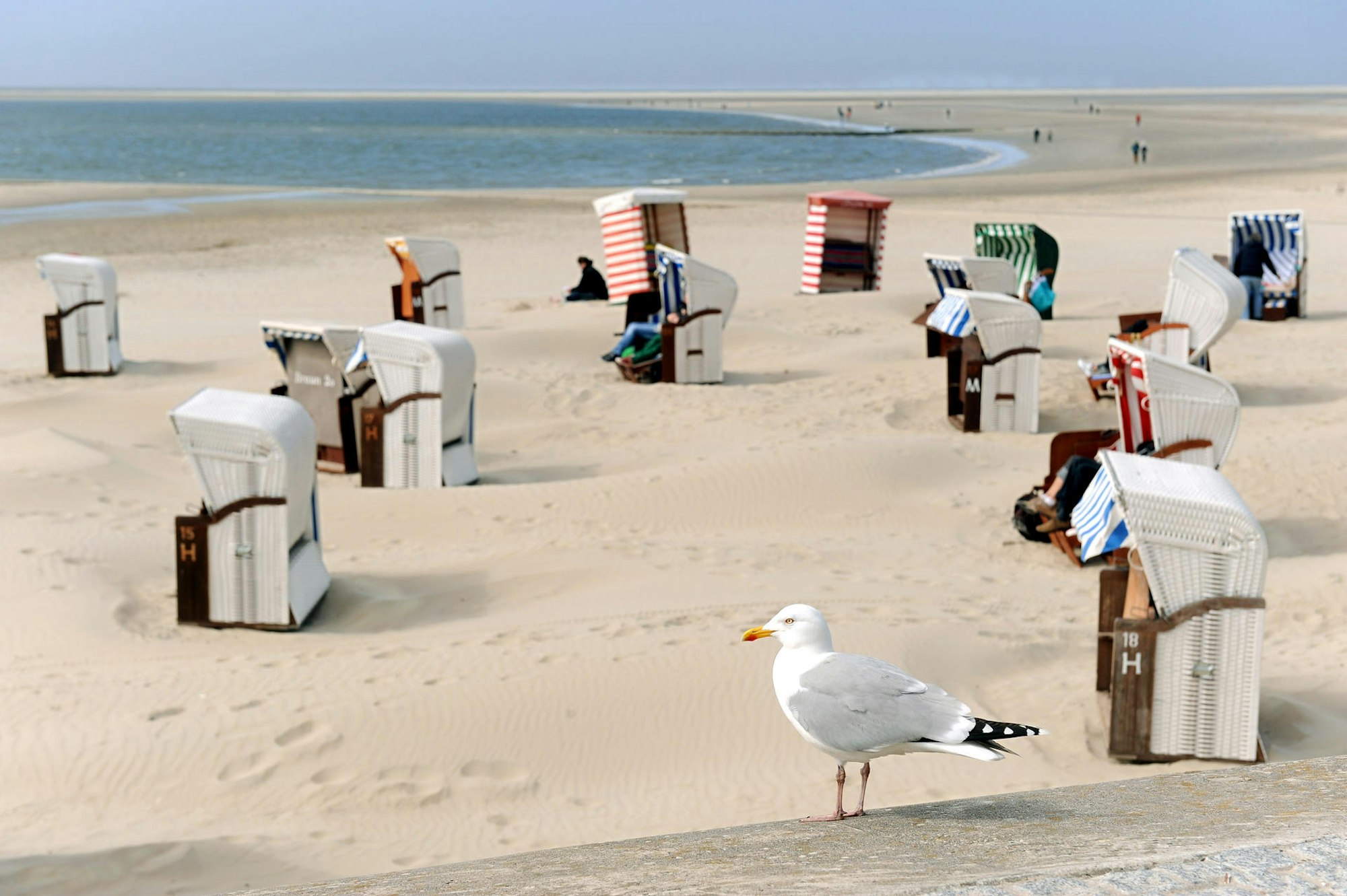Borkum