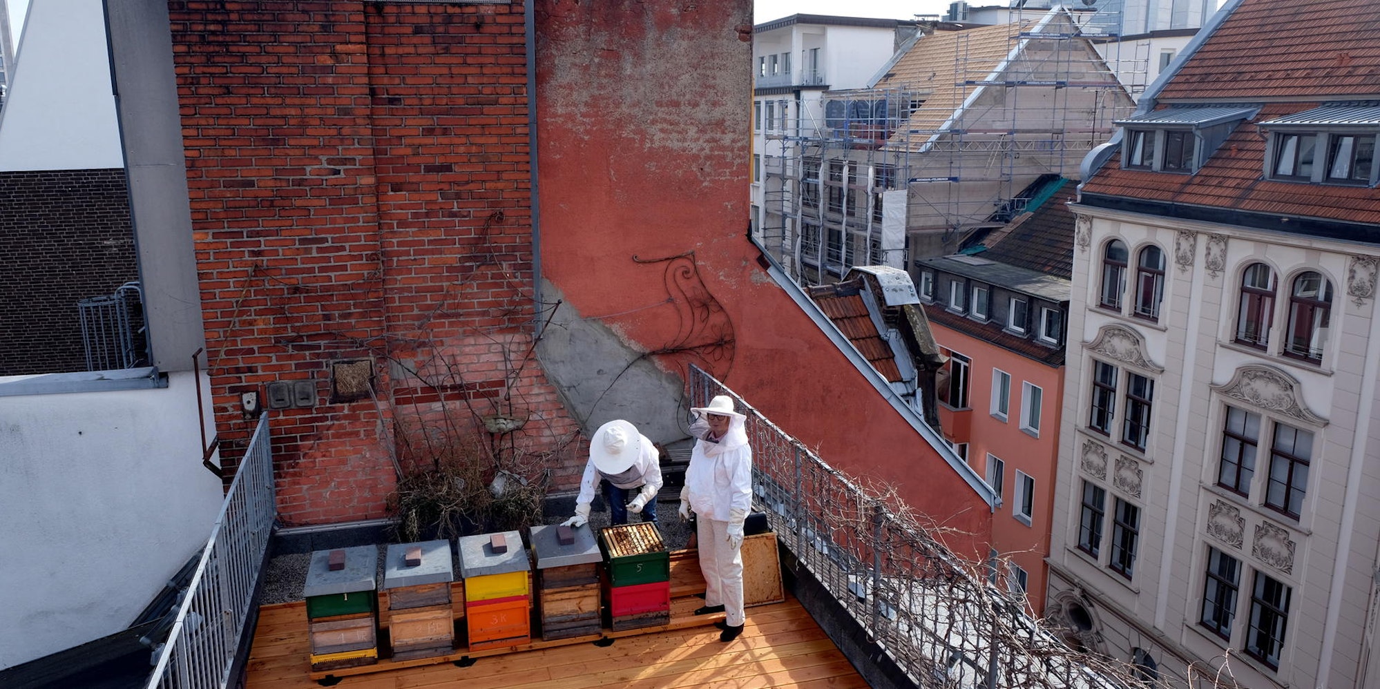 20180306max-bienen21