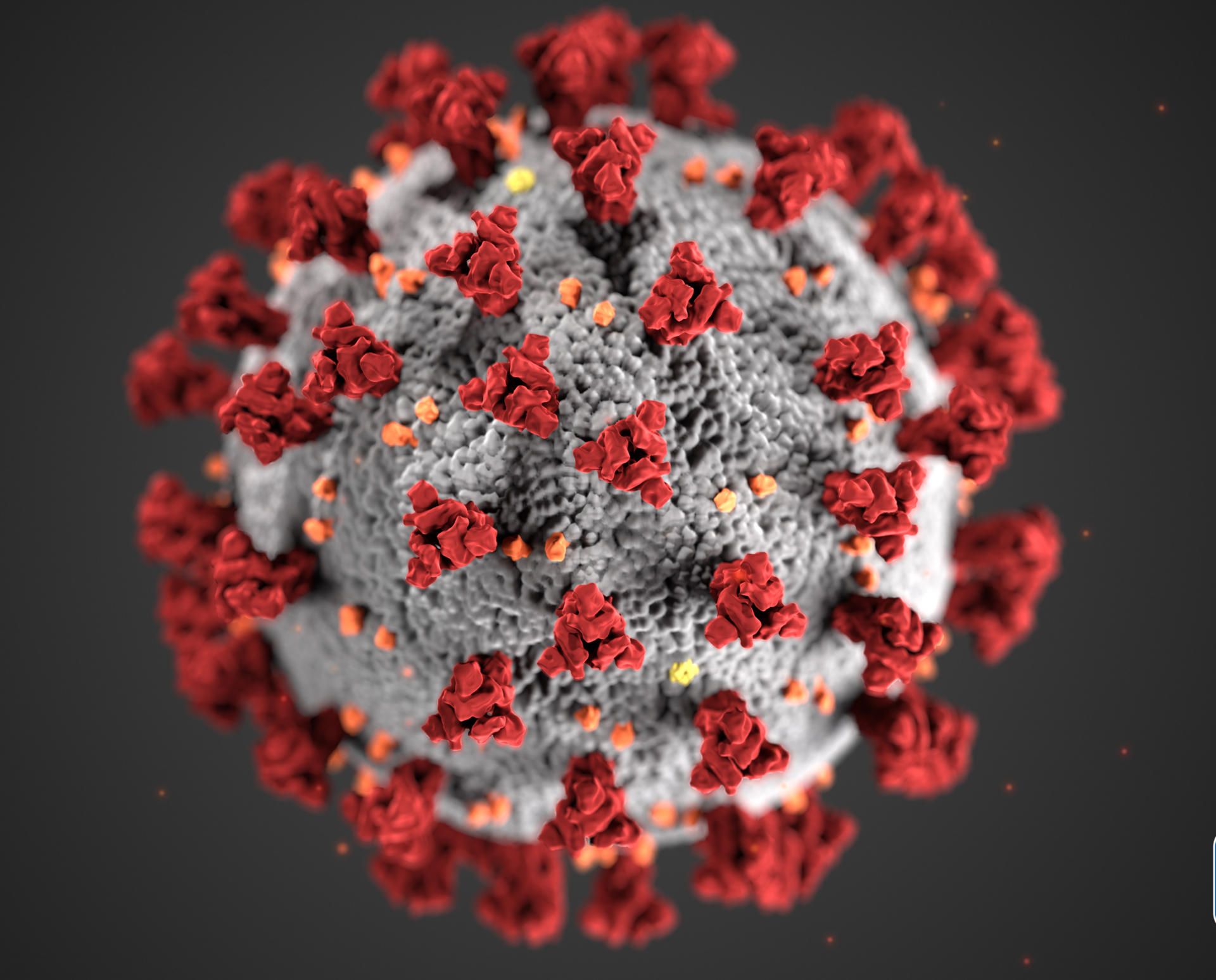 B_Virus_100320
