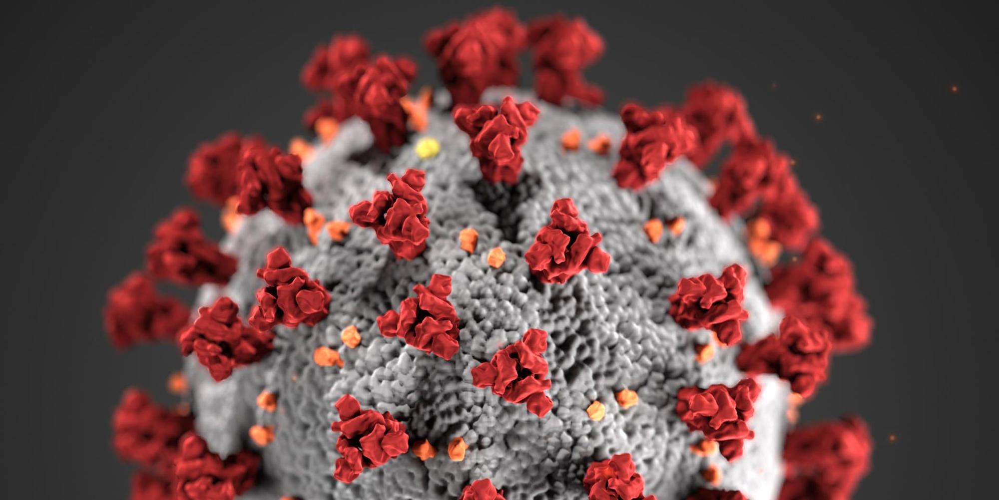 B_Virus_100320
