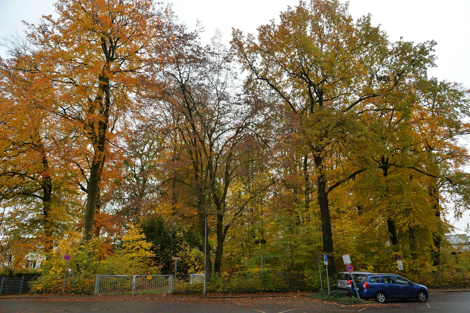 Arlinghaus_Marien-Krankenhaus_Bergisch Gladbach_1