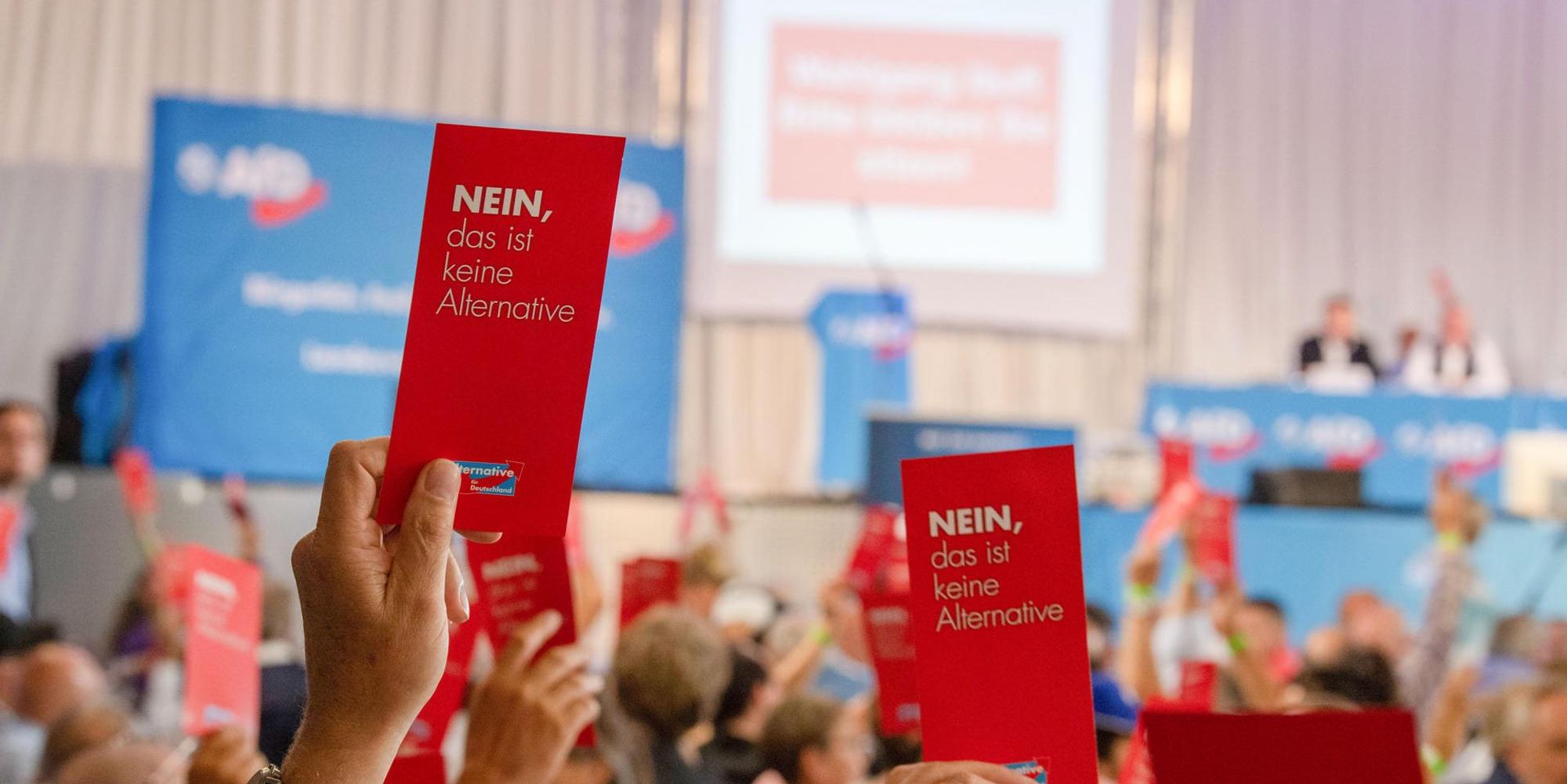 afd wahlkarte