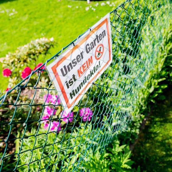 Neuer Inhalt
