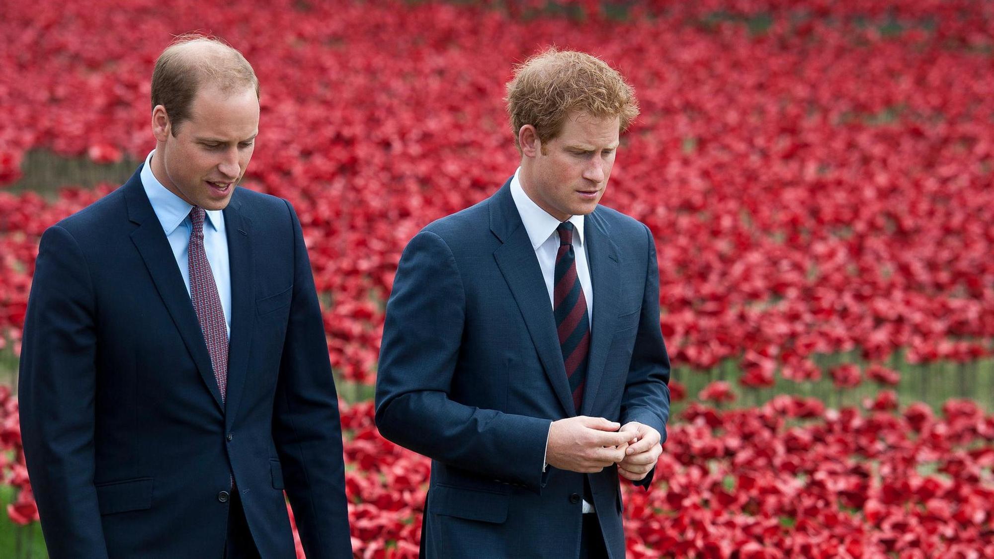 Prinz William und Prinz Harry stehen vor einem Feld mit rotem Mohn.