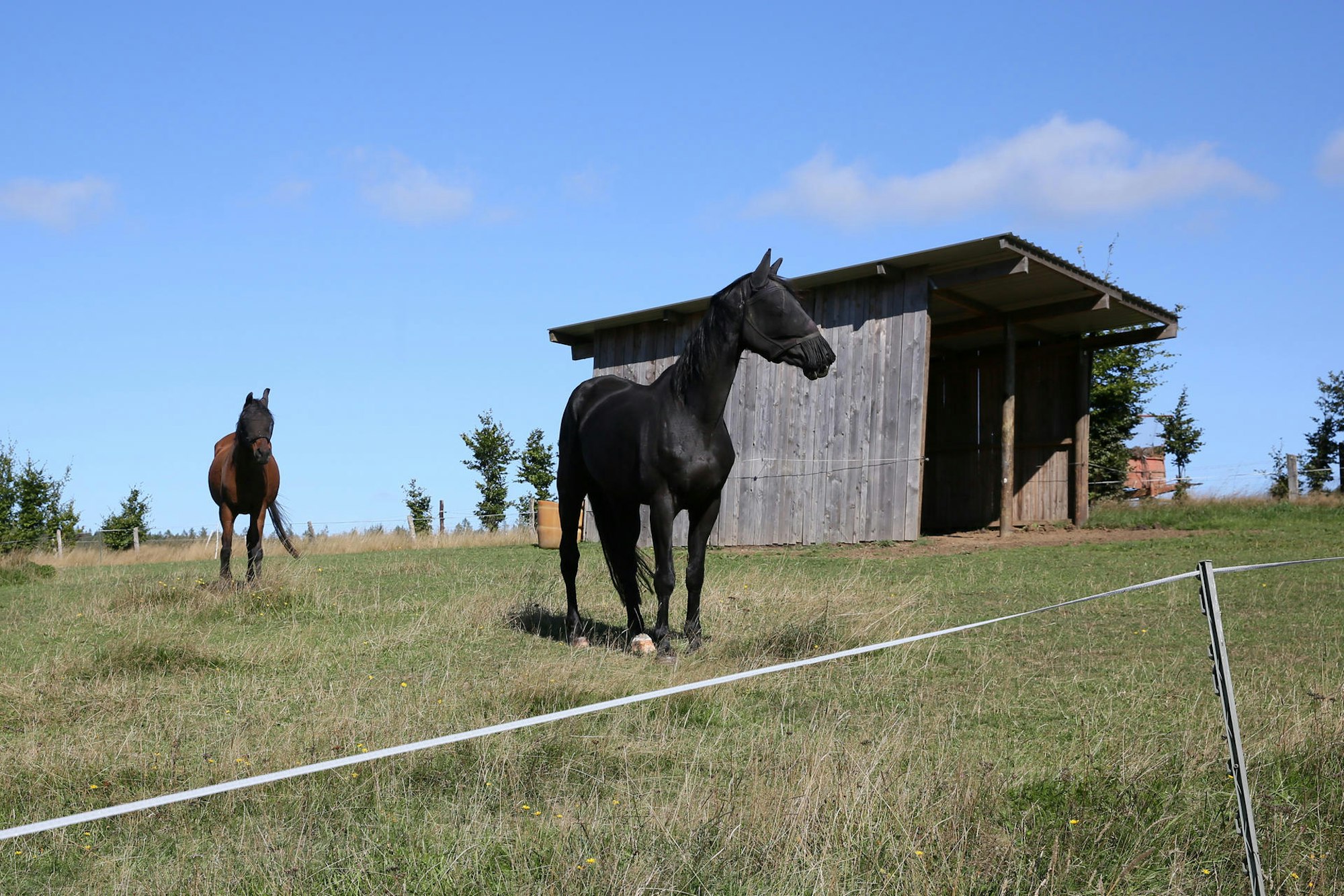 04092019_WanderungJosten_09