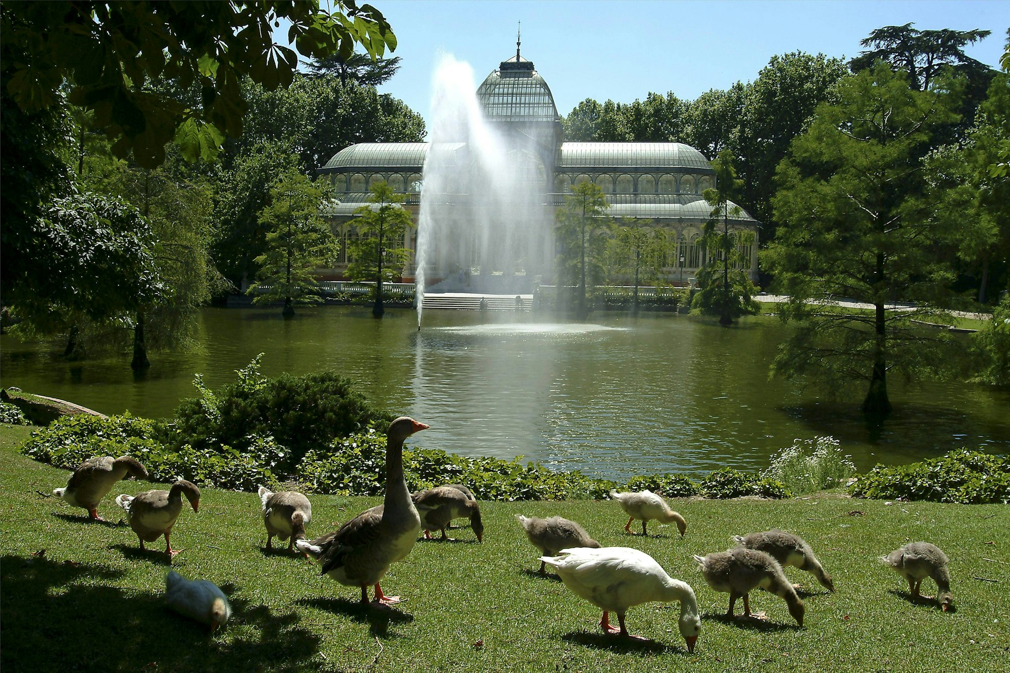 madrid_park_imago