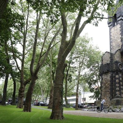 MDS-KSTA-2016-06-01-71-100482647