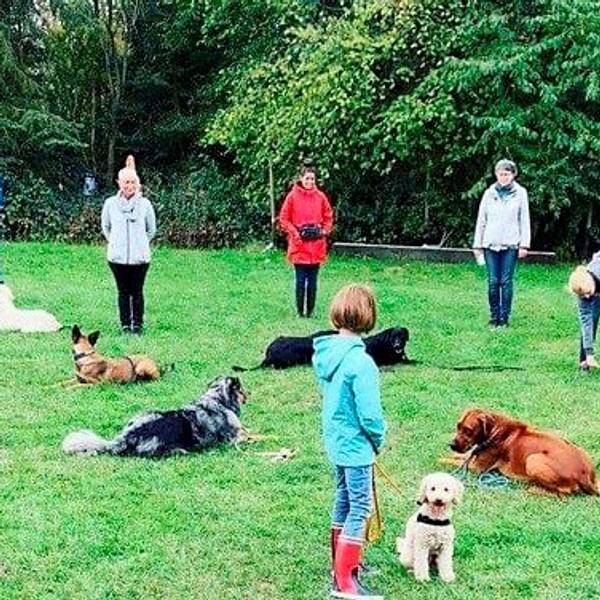 hundeschule
