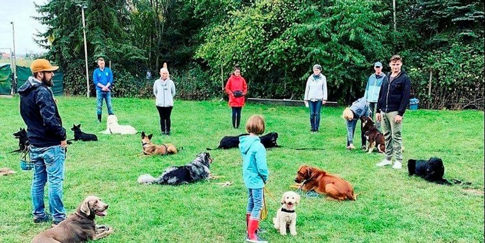 hundeschule