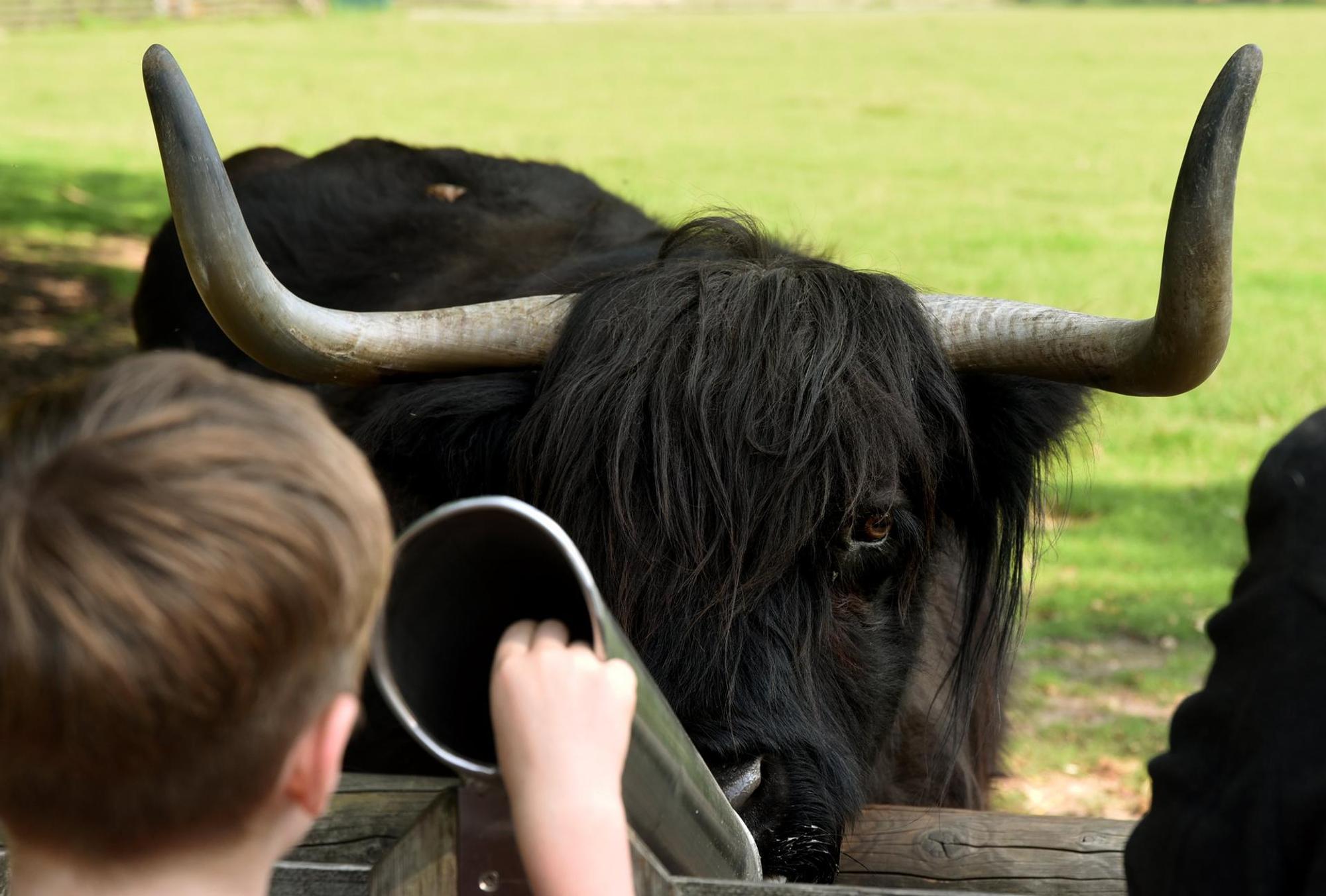 Stadtwald Tierpark