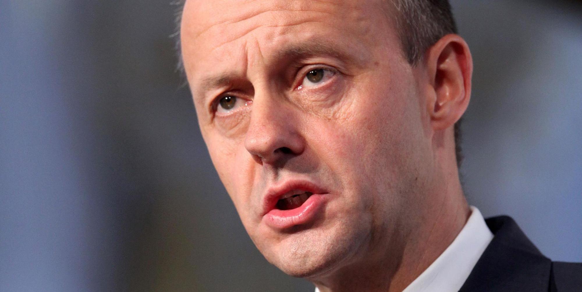 Friedrich_Merz_dpa