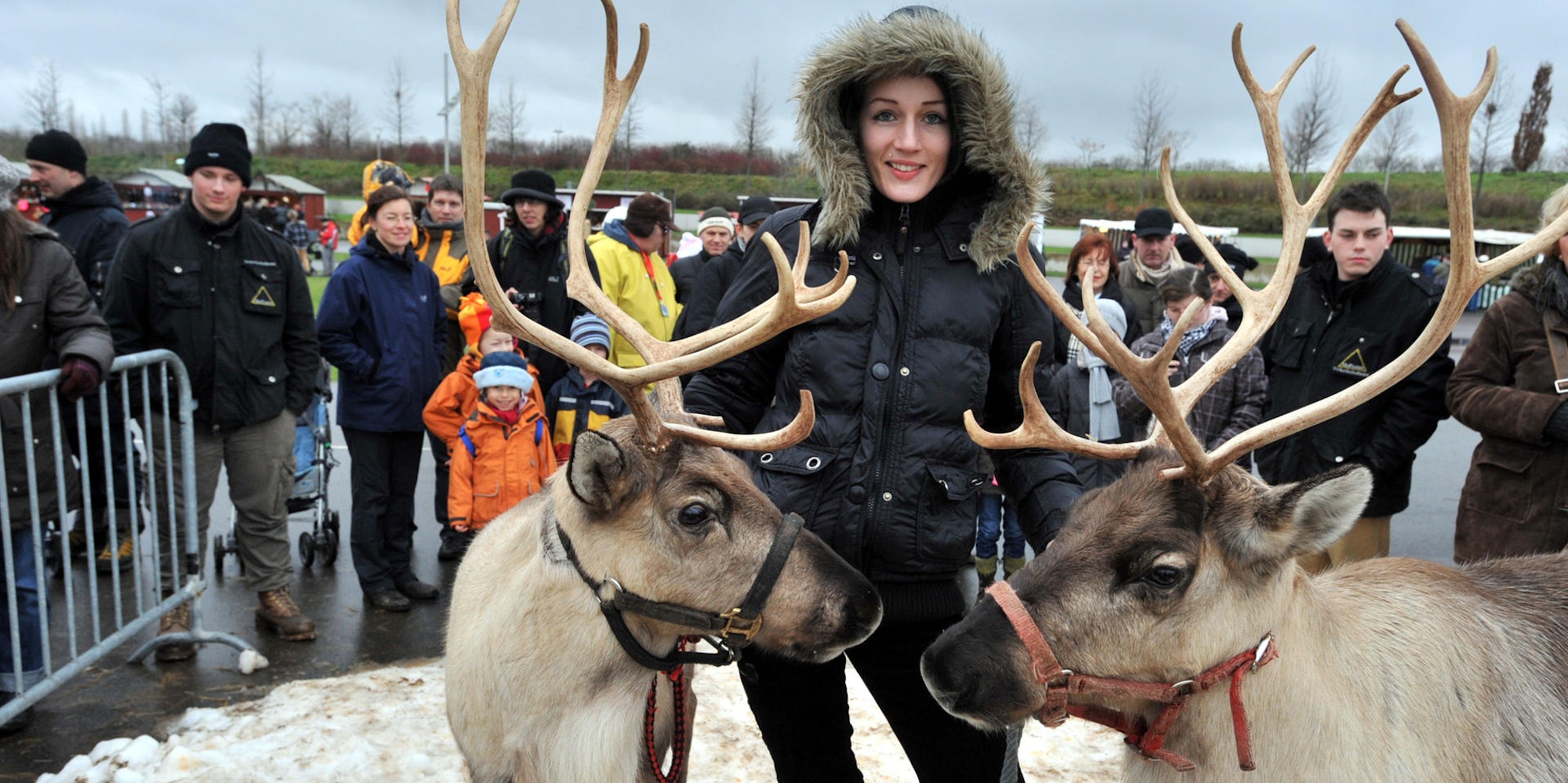 Weihnachtsmarkt Neulandpark Archiv