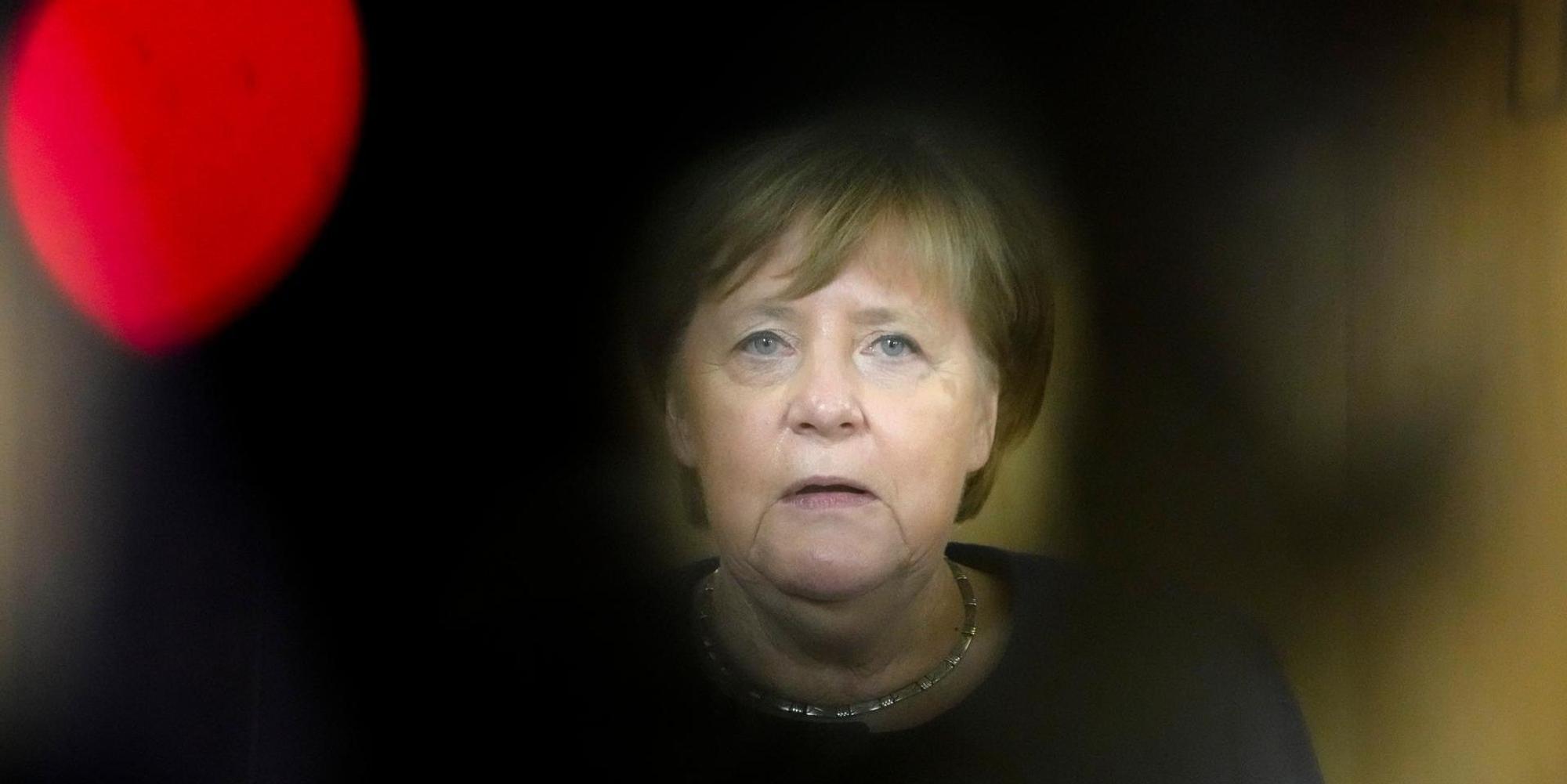 merkel afd