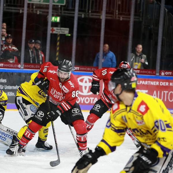 Haie Pinguine 060120