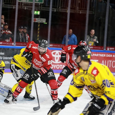 Haie Pinguine 060120