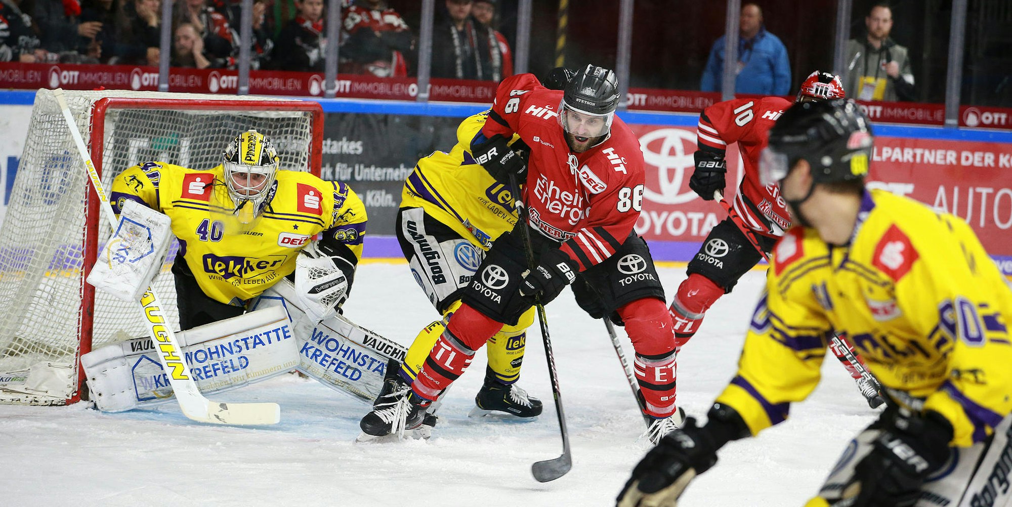 Haie Pinguine 060120