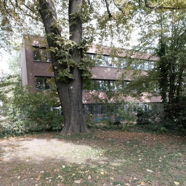 Montessorigymnasium-Sanierung