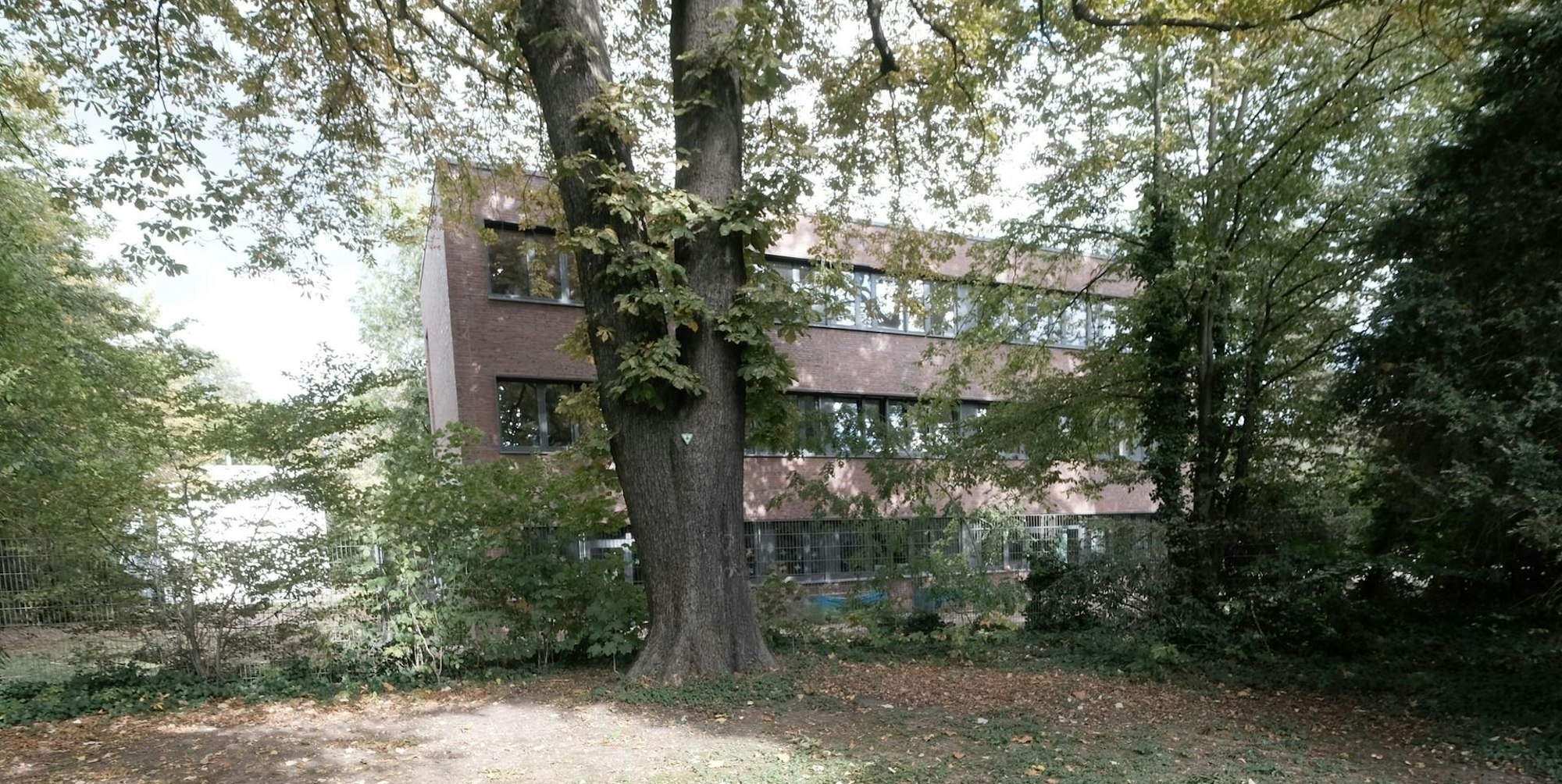 Montessorigymnasium-Sanierung