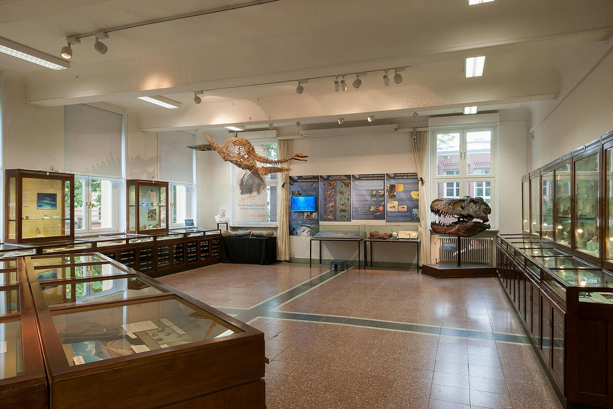 UniBonnSteinmannGoldfuss Museum Wiki Camillo1313 _2_ CC 4.0