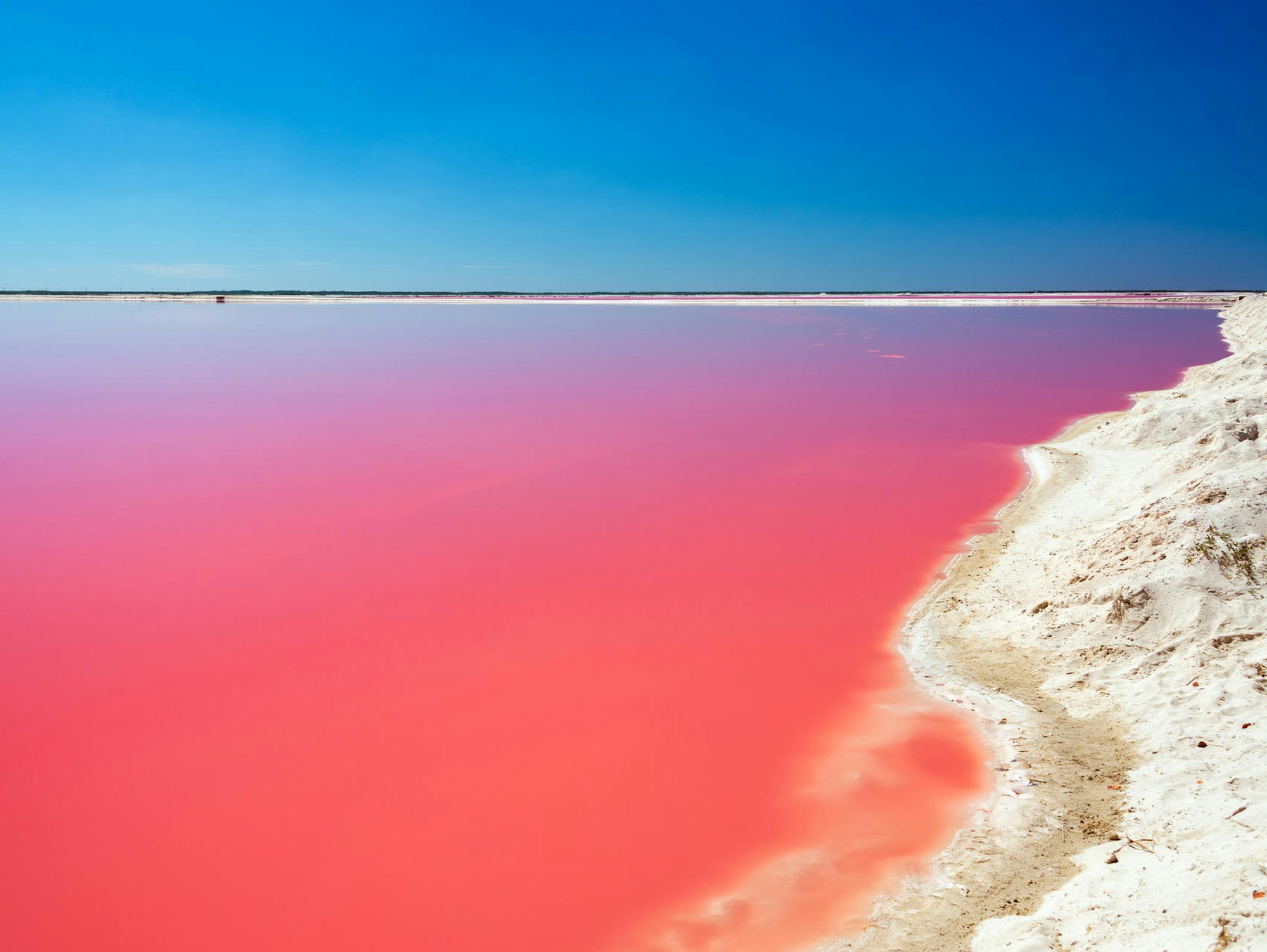 GettyImages-1128104110