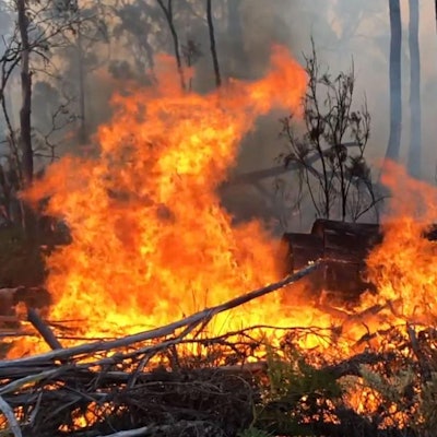 Australien Feuer neu dpa