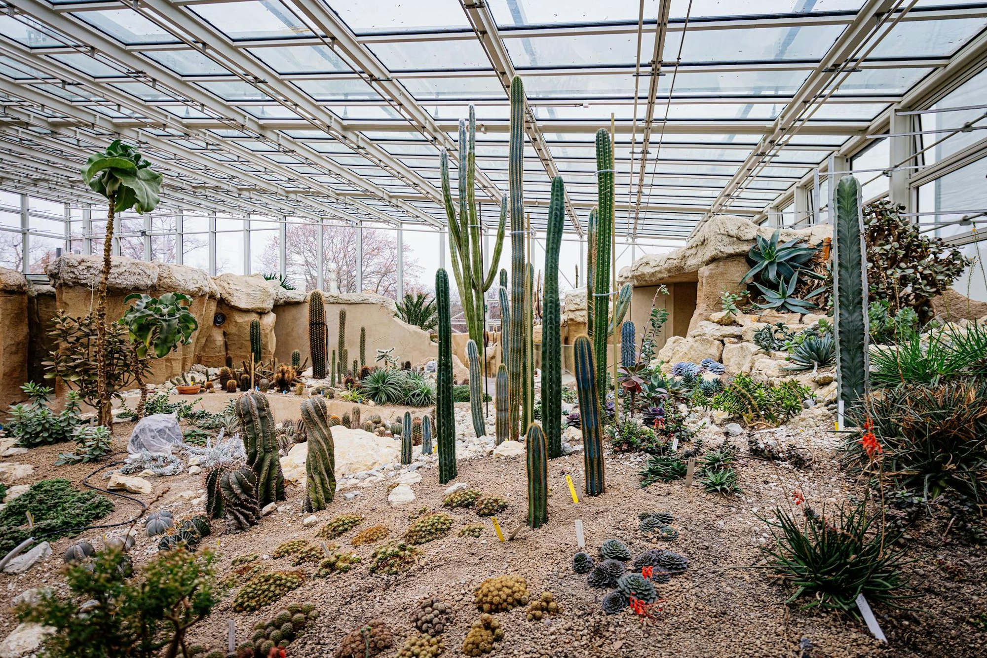 Bundesgartenschau 2