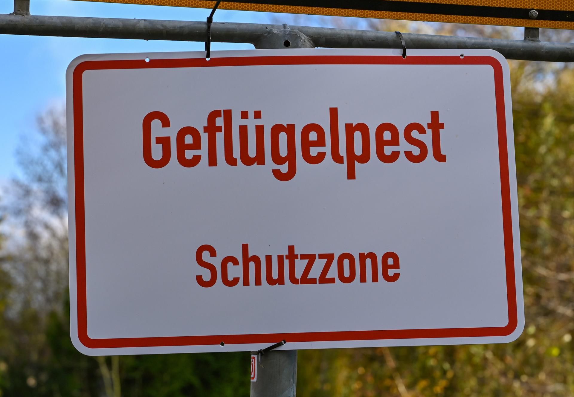 Geflügelpest 101022