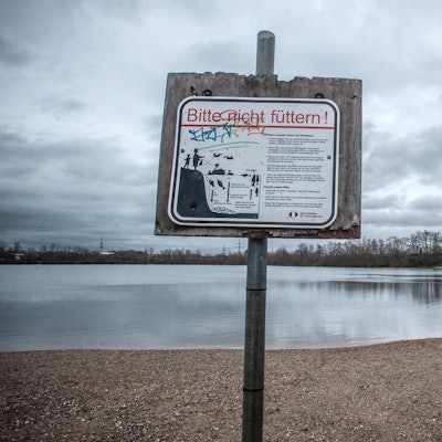 hitdorferSeeALF_0680