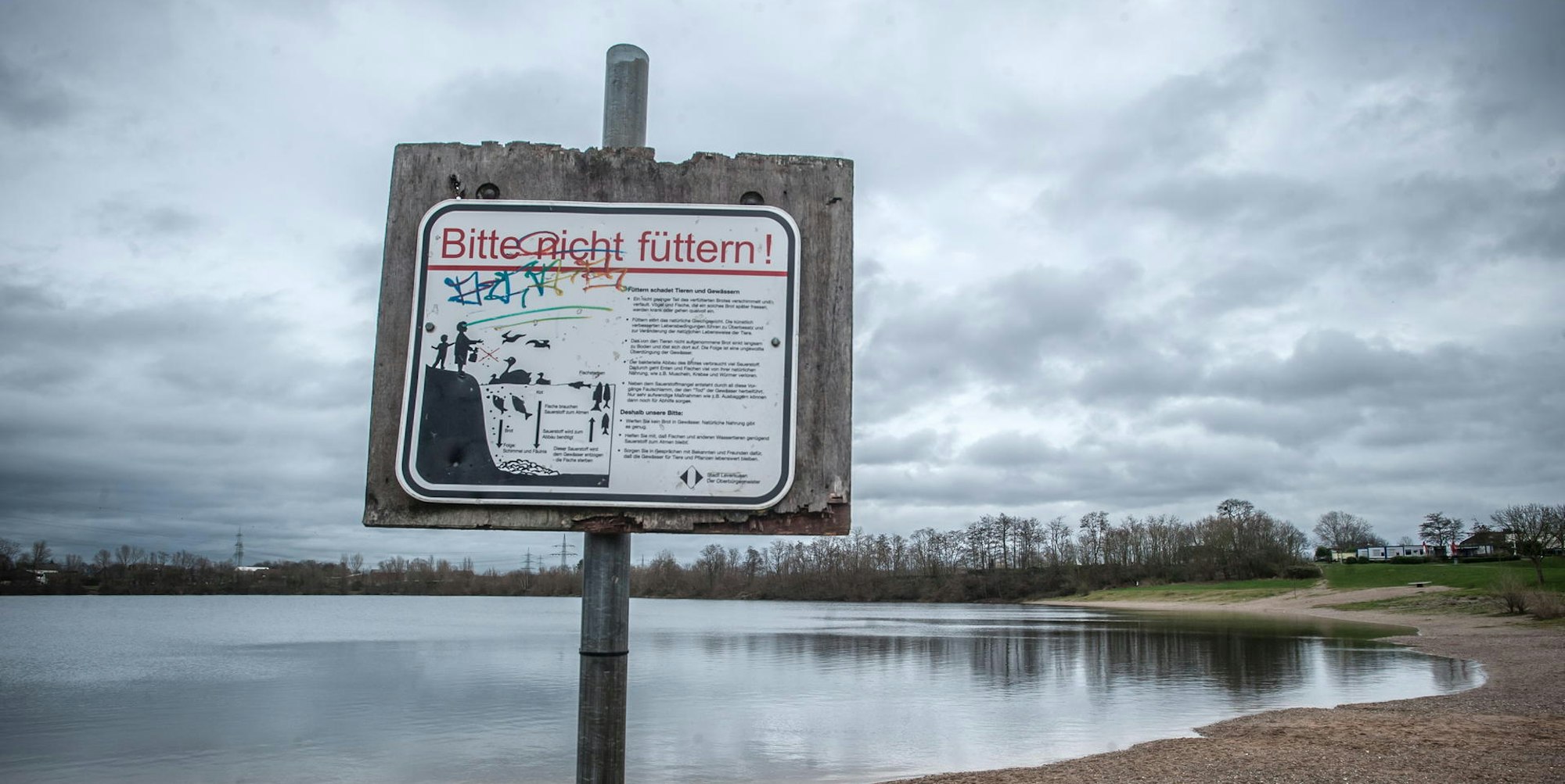 hitdorferSeeALF_0680