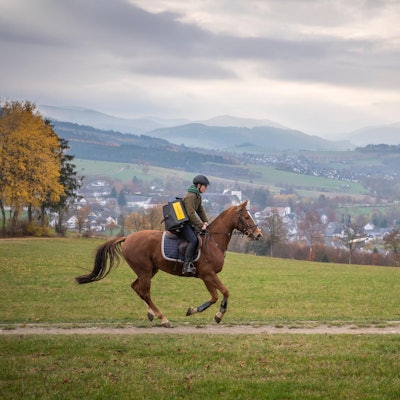 Reiter Symbolbild 150322