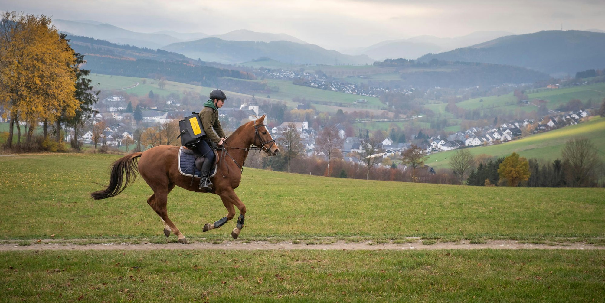 Reiter Symbolbild 150322